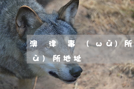 澳門律師事務(wù)所(澳門律師事務(wù)所地址)