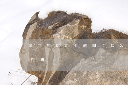 澳門的信用卡逾期了怎么辦(欠信用卡能去澳門嗎)
