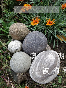 澳門逾期沒(méi)錢交罰款會(huì)被拘留嗎-澳門逾期沒(méi)錢交罰款會(huì)被拘留嗎知乎