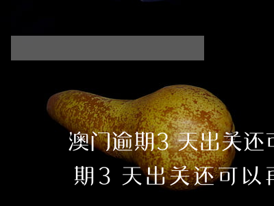 澳门逾期3天出关还可以再签证吗-澳门逾期3天出关还可以再签证吗