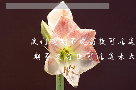 澳门逾期不交罚款可以过来大陆吗-澳门逾期不交罚款可以过来大陆吗现在