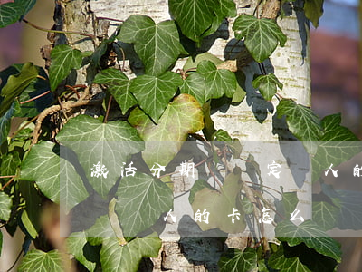 激活分期樂綁定別人的微信誰還款-分期樂綁別人的卡怎么辦