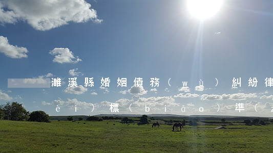 濉溪縣婚姻債務(wù)糾紛律師收費(fèi)標(biāo)準(zhǔn)-濉溪縣婚姻債務(wù)糾紛律師收費(fèi)標(biāo)準(zhǔn)是多少