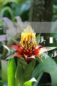 濉溪縣婚姻債務(wù)糾紛律師熱線電話-濉溪縣婚姻債務(wù)糾紛律師熱線電話號(hào)碼