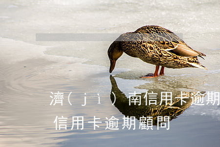 濟(jì)南信用卡逾期顧問 濟(jì)南信用卡逾期顧問