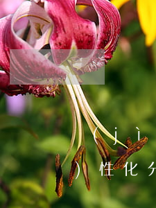濟(jì)南個(gè)性化分期(個(gè)性化分期可以減免本金嗎)