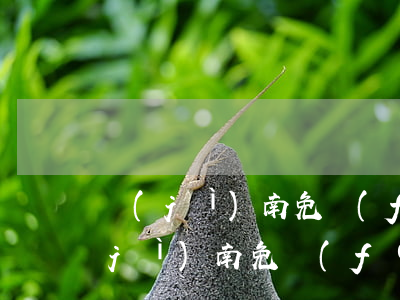濟(jì)南免費(fèi)律師援助(濟(jì)南免費(fèi)律師咨詢電話)