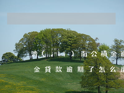 濟(jì)南公積金逾期怎么還款(住房公積金貸款逾期了怎么還)