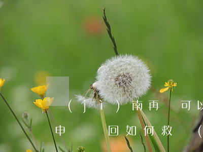 濟(jì)南再審可以申請法律援助嗎(再審申請駁回如何救濟(jì))