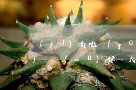 濟(jì)南地區(qū)債權(quán)債務(wù)律師大概多少錢-濟(jì)南地區(qū)債權(quán)債務(wù)律師大概多少錢一個(gè)月