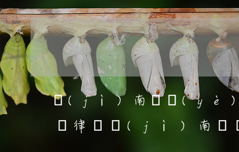 濟(jì)南專業(yè)債務(wù)糾紛律師(濟(jì)南討債律師)