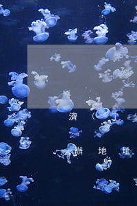 濟(jì)南市社保辦(濟(jì)南市社保辦地址電話)