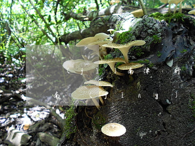 濟(jì)南律師行賄沒處理嗎(濟(jì)南經(jīng)濟(jì)糾紛資深律師)