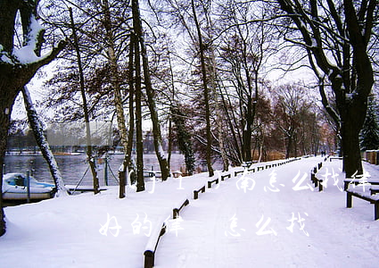 濟(jì)南怎么找律師(濟(jì)南比較好的律師怎么找)