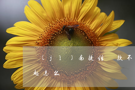 濟(jì)南捷信貸款不還(在捷信貸款 還不起怎么辦)