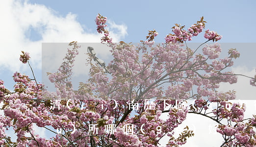 濟(jì)南歷下區(qū)律師事務(wù)所哪個(gè)好