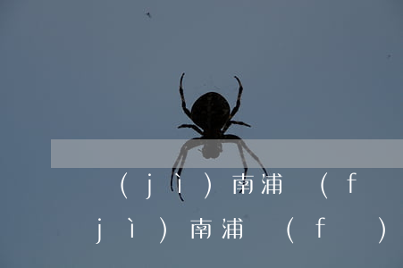 濟(jì)南浦發(fā)信用卡逾期(濟(jì)南浦發(fā)信用卡逾期了怎么辦)