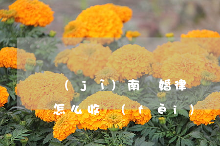 濟(jì)南離婚律師費(fèi)用一般怎么收費(fèi)(離婚律師收費(fèi)標(biāo)準(zhǔn)多少)