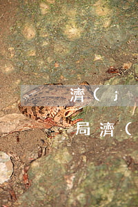 濟(jì)南離婚需要去哪個(gè)民政局(濟(jì)源民政局辦理離婚時(shí)間)