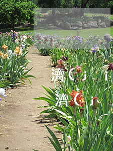 濟(jì)寧交通違章查詢網(wǎng)(濟(jì)寧交警大隊(duì)處理違章查詢電話)