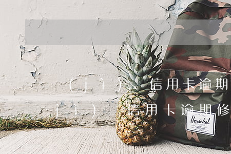 濟(jì)寧信用卡逾期修復(fù)(濟(jì)寧信用卡逾期修復(fù)中心)