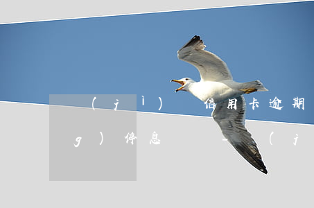 濟(jì)寧信用卡逾期怎么申請(qǐng)停息掛賬-濟(jì)寧信用卡逾期怎么申請(qǐng)停息掛賬的