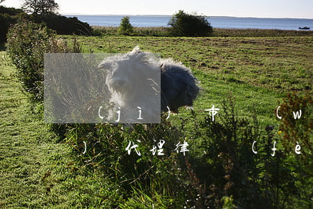 濟(jì)寧市債務(wù)風(fēng)險代理律師費(fèi)用標(biāo)準(zhǔn)-濟(jì)寧市債務(wù)風(fēng)險代理律師費(fèi)用標(biāo)準(zhǔn)是多少