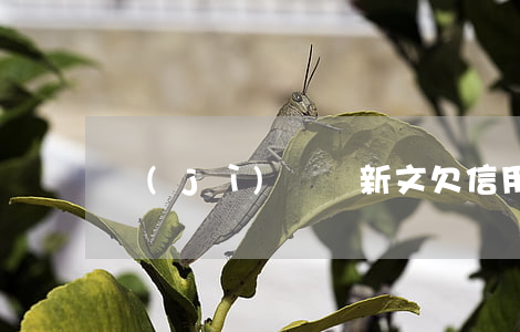 濟(jì)寧馮新文欠信用卡(濟(jì)寧馮偉)