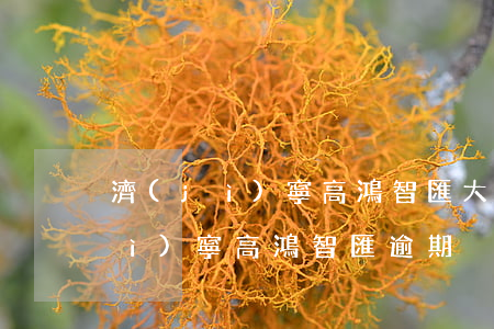 濟(jì)寧高鴻智匯大廈具體地址（濟(jì)寧高鴻智匯逾期）