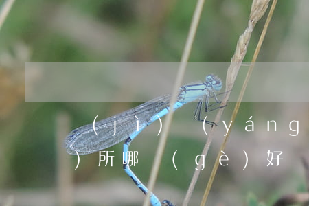 濟(jì)陽(yáng)律師事務(wù)所哪個(gè)好(濟(jì)寧最好的律師)
