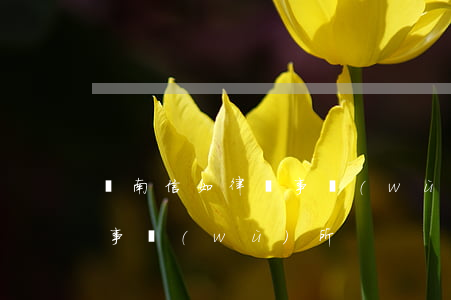 濟南信如律師事務(wù)所(山東濟寧律師事務(wù)所)