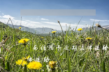濟南信用卡逾期法律援助(濟南信用卡逾期法律援助)