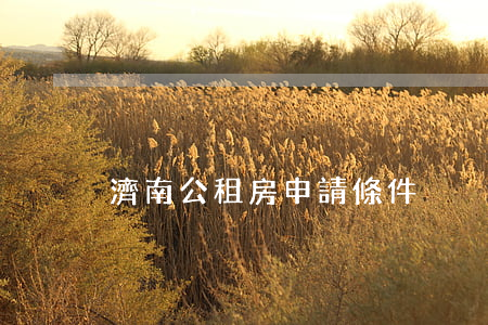 濟南公租房申請條件