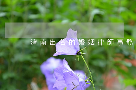 濟南出名的婚姻律師事務所