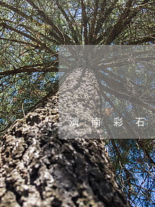 濟南彩石山莊