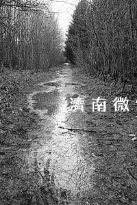 濟南微信逾期還不上(微信逾期了怎么辦)