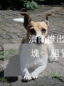 濟南推出山東首個租售同權(quán)地塊:租賃享教育同權(quán)