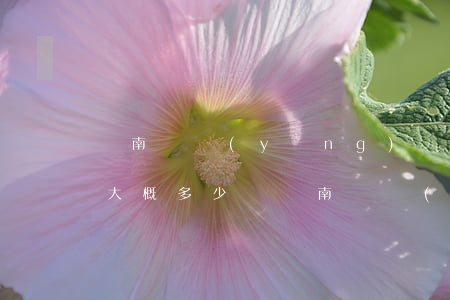 濟南撫養(yǎng)權(quán)律師大概多少錢(濟南撫養(yǎng)權(quán)律師大概多少錢)