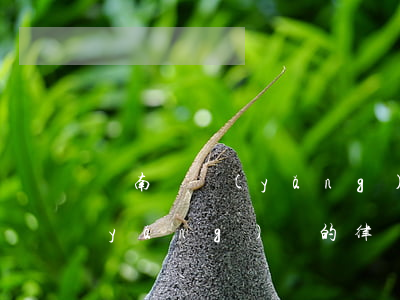 濟南撫養(yǎng)費案律師收費(撫養(yǎng)費的律師費)