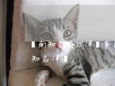 濟南知名婚姻律師事務所律師(濟南婚姻家庭知名律師)