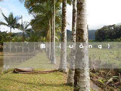 濟南網(wǎng)貸逾期債務(wù)重組