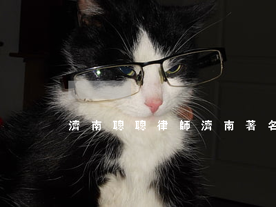 濟南聰聰律師(濟南著名知名律師)