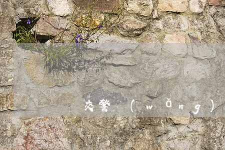 濟寧交警網(wǎng)違章查詢