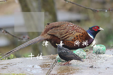 濟寧律師事務所排名(濟寧律師事務所排名前十位)