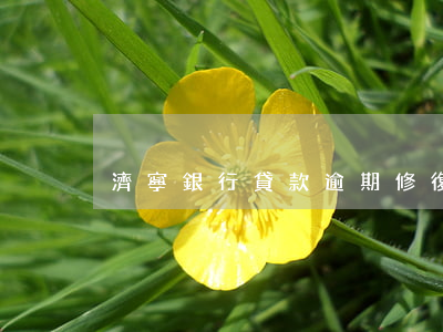 濟寧銀行貸款逾期修復(fù)
