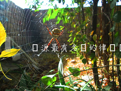 濟源最有名氣的律師(濟陽最好的律師事務所)