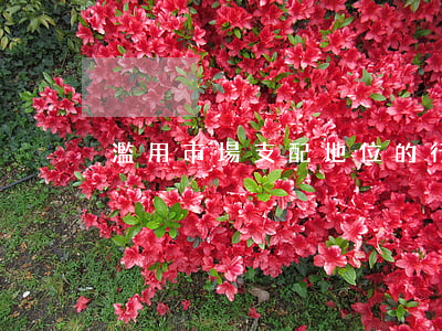 濫用市場支配地位的行為有哪些