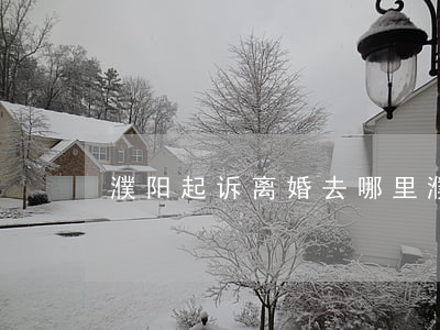 濮阳起诉离婚去哪里(濮阳县离婚在哪里办理)