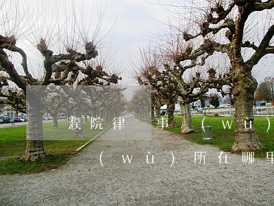 濮院律師事務(wù)所在哪里(濮院律師事務(wù)所在哪里)