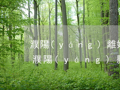 濮陽(yáng)離婚律師免費(fèi)(濮陽(yáng)縣律師電話號(hào)碼)